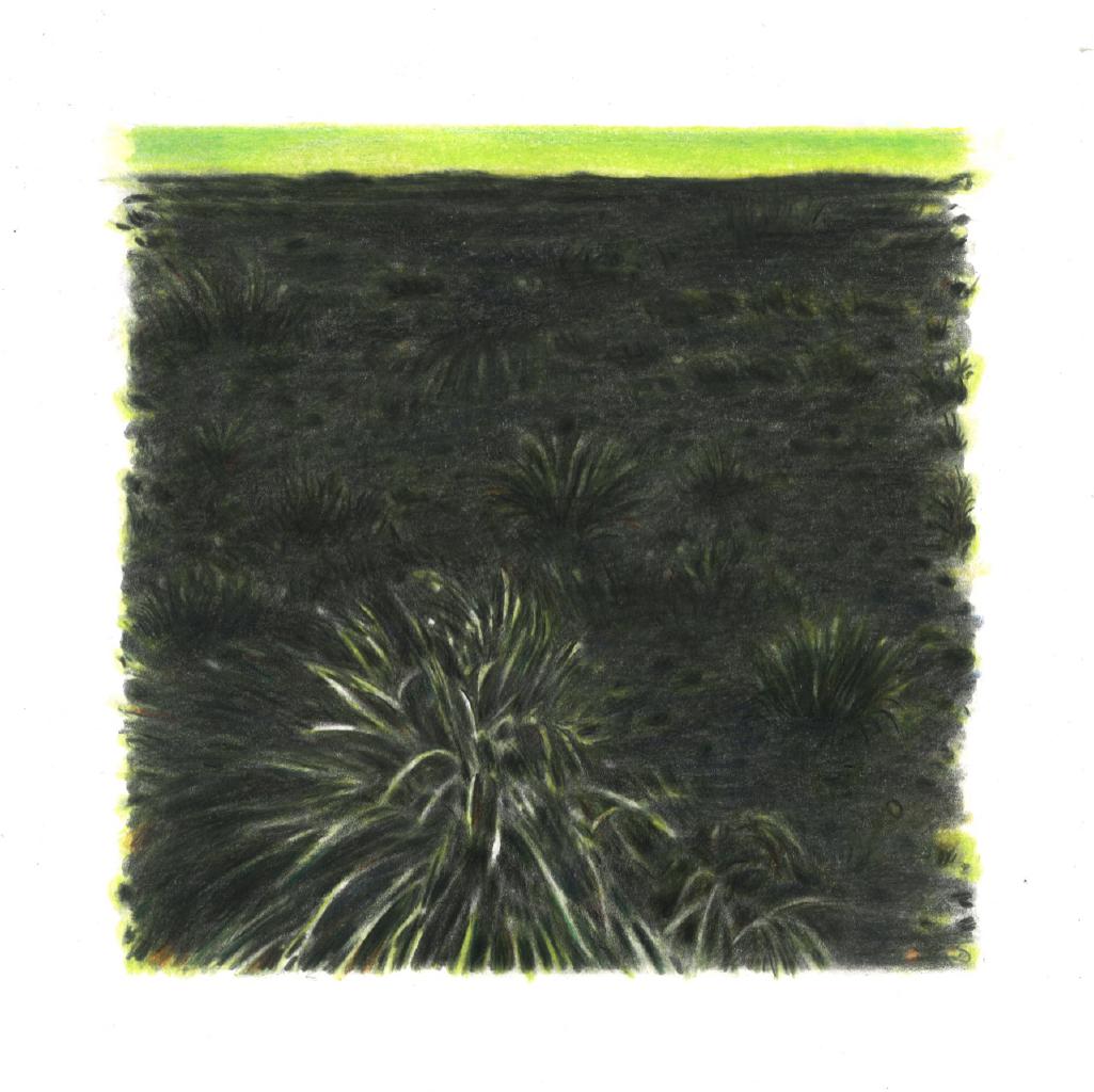 Green Hope, 2021, χρωματιστά μολύβια σε χαρτί, 23Χ23 εκ.