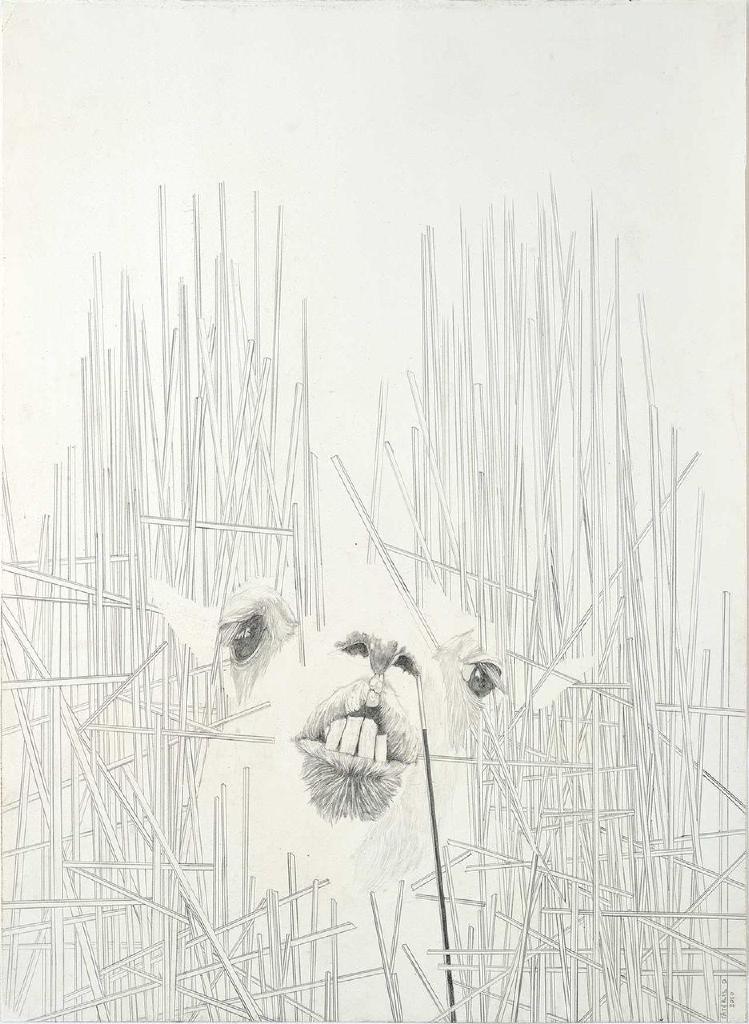 Άτιτλο, 2010, μολύβι σε χαρτί, 44x32 εκ.