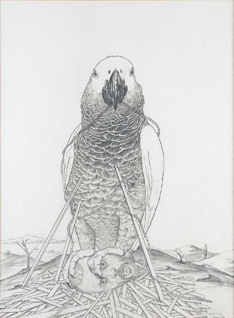 Παπαγάλος, 2009, μολύβι σε χαρτί, 30x40 εκ.