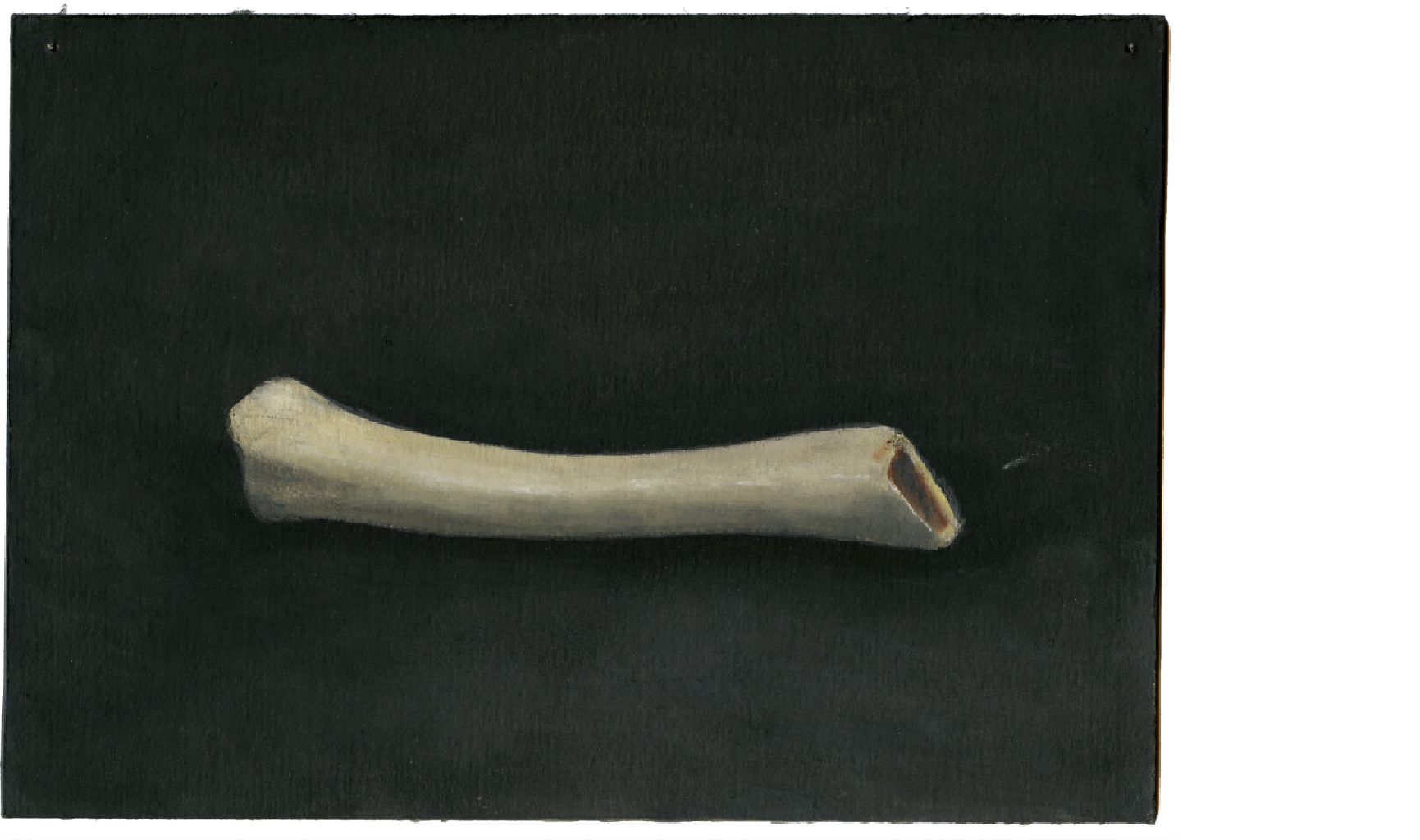 Κόκαλο Ι, 2021, λάδι σε χαρτόνι, 20Χ25 εκ.