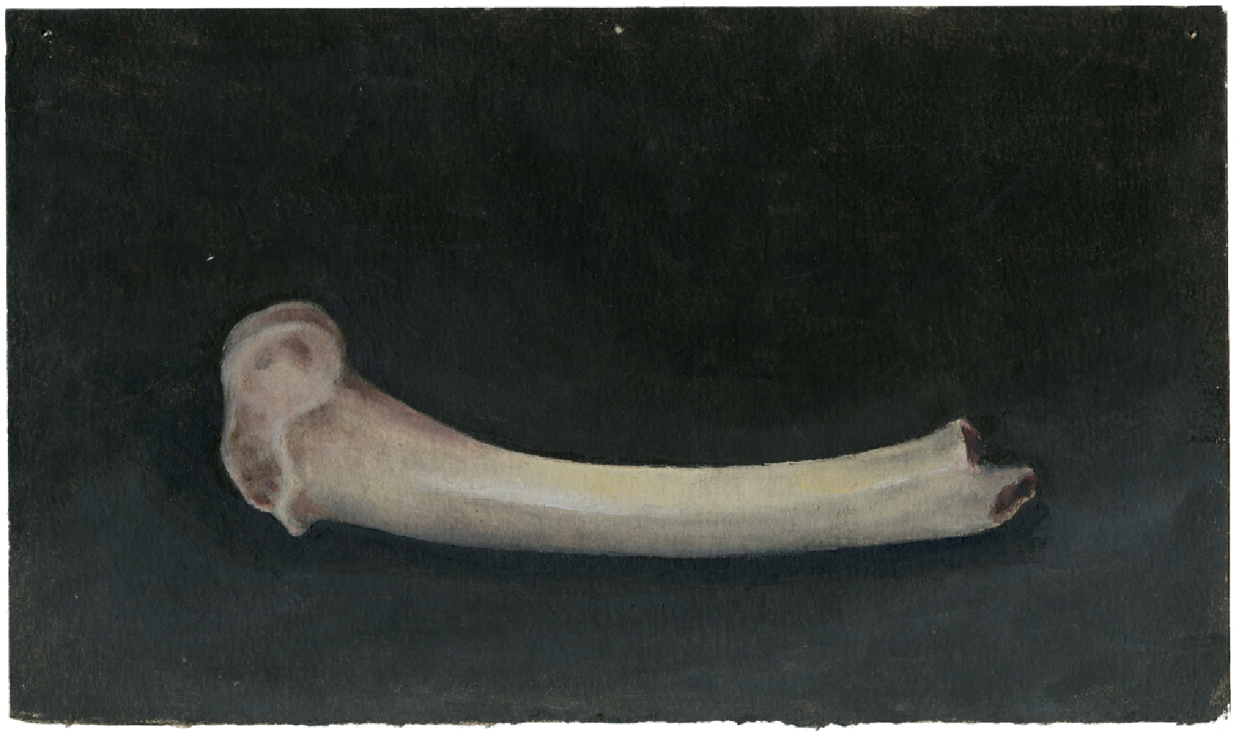 Κόκαλο ΙΙI, 2021, λάδι σε χαρτόνι, 13Χ22 εκ.